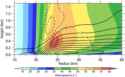 High-Wind Drag Coefficient Based on the Tropical Cyclone Simulated With the WRF-LES Framework